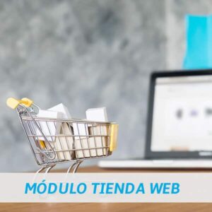 módulo tienda web