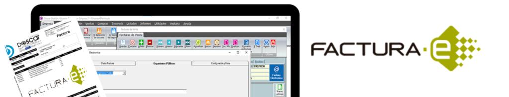 Cabecera Factura-e